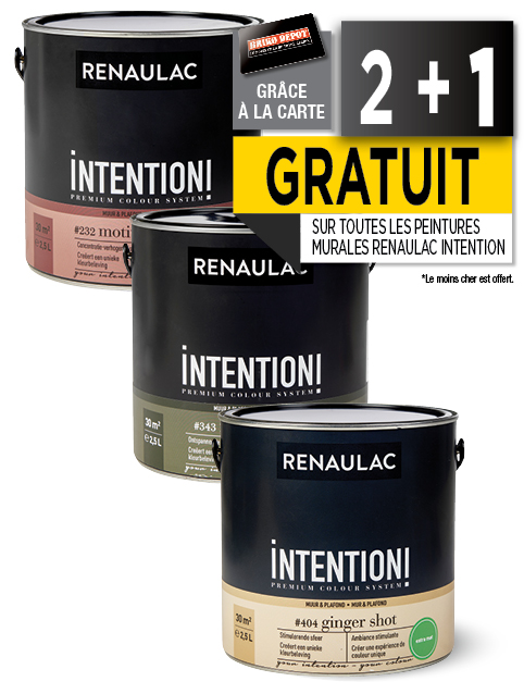 Promotion BRIKO DEPOT