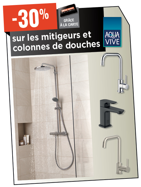 Promotion BRIKO DEPOT