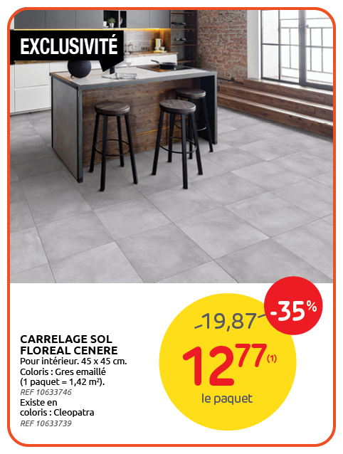 Promotion BRIKO DEPOT