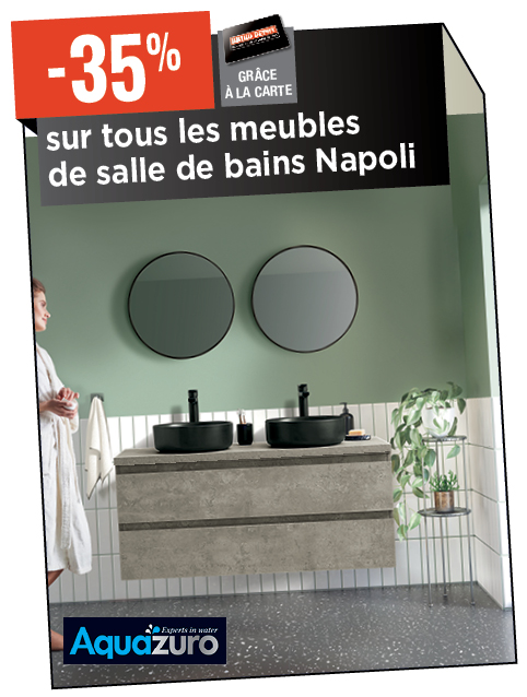 Promotion BRIKO DEPOT