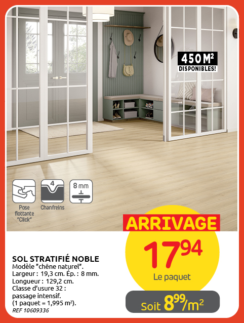 Promotion BRIKO DEPOT