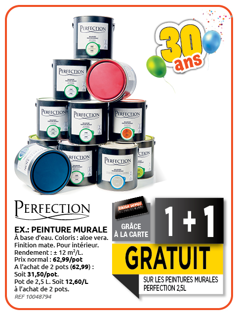 Promotion BRIKO DEPOT