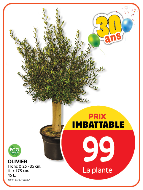 Promotion BRIKO DEPOT