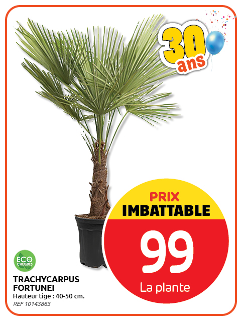 Promotion BRIKO DEPOT