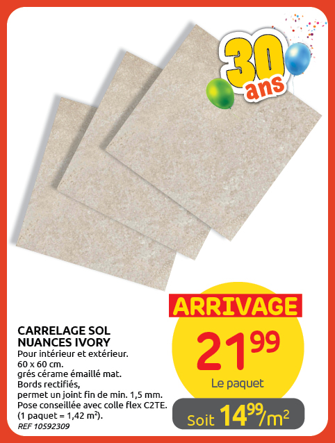 Promotion BRIKO DEPOT