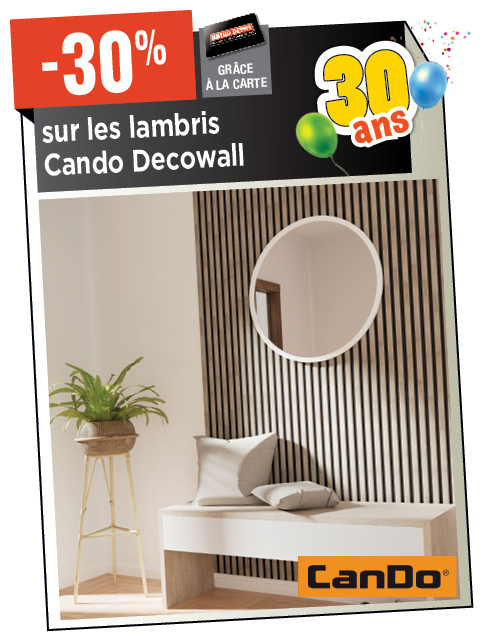 Promotion BRIKO DEPOT