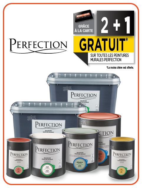 Promotion BRIKO DEPOT